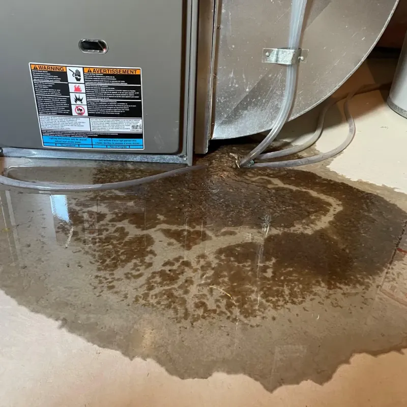 Appliance Leak Cleanup in Morristown, NJ